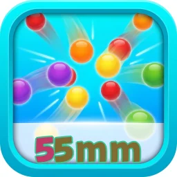 55mm